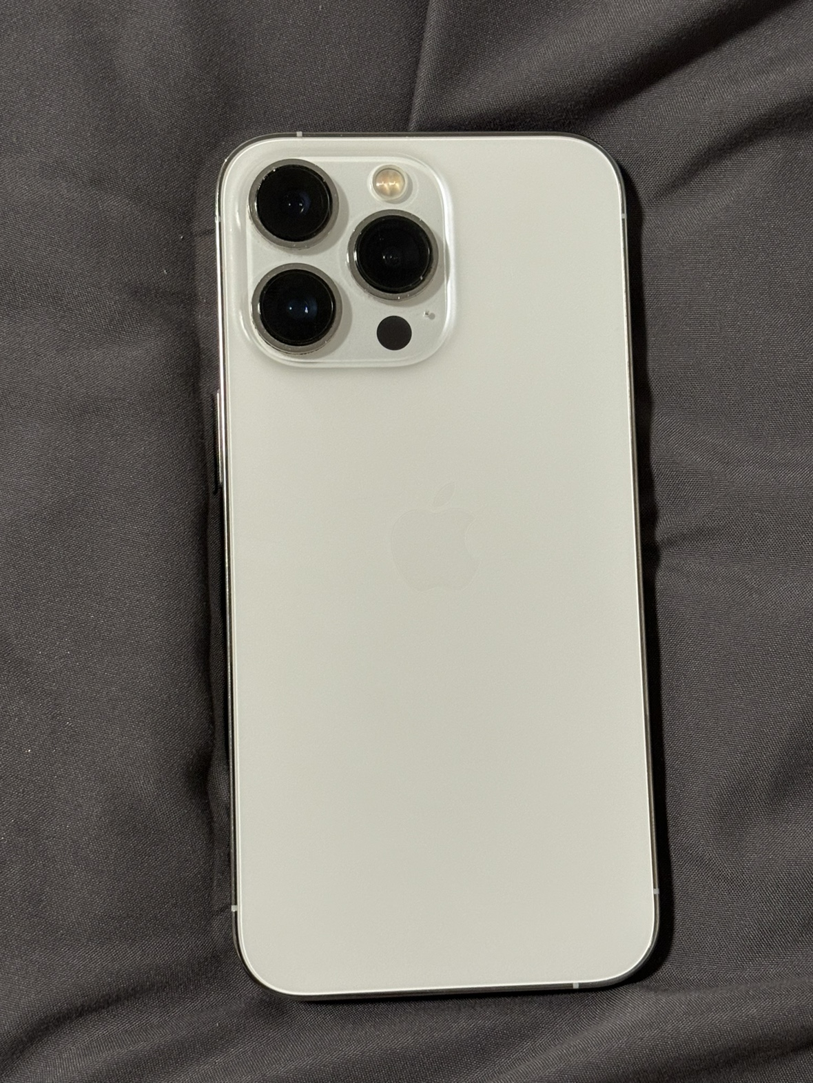 iPhone 13 Pro/Silver/256GB - photo 2