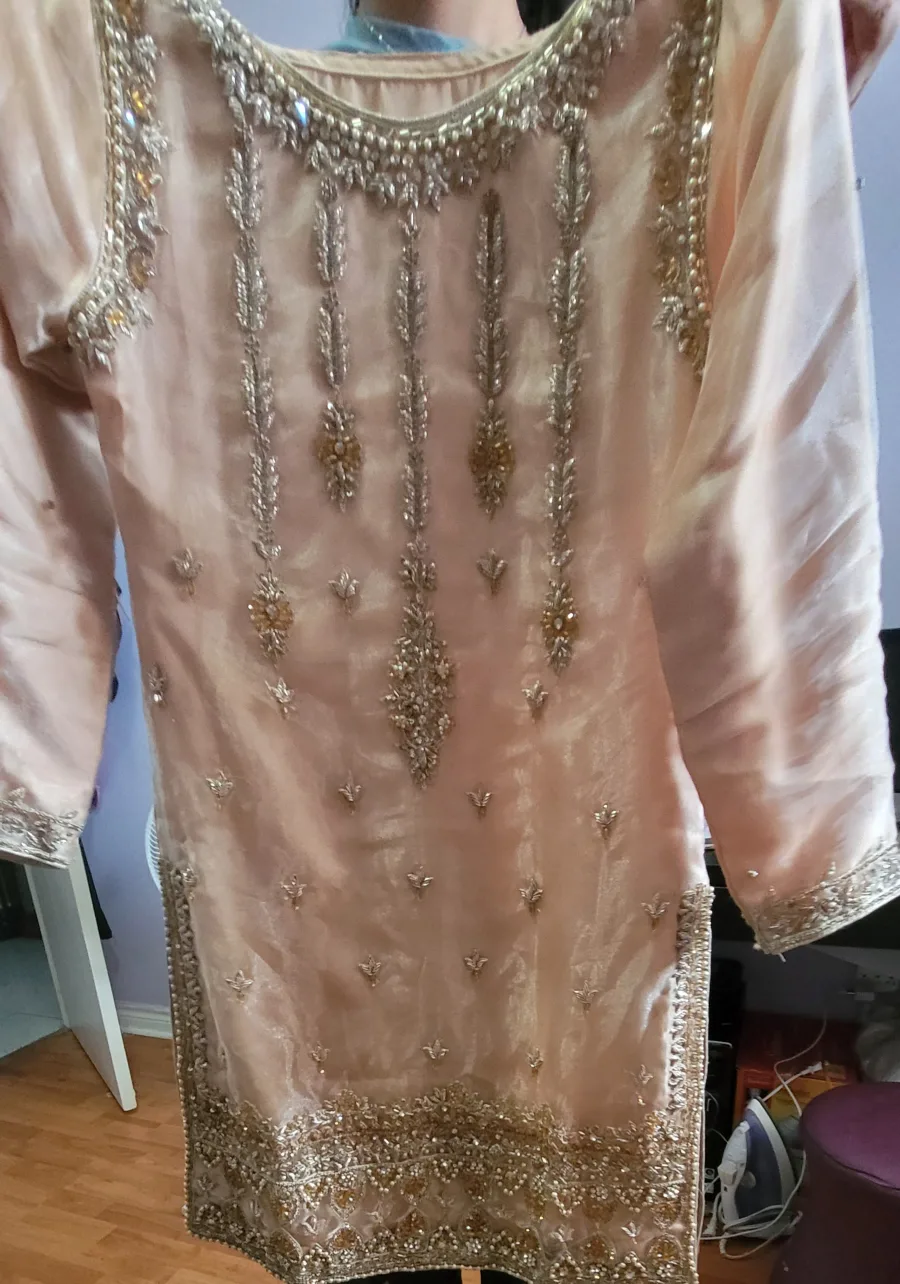 Beige Pakistani Suit image indicator(2)
