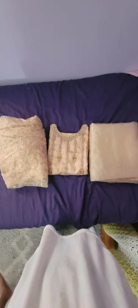 Beige Pakistani Suit image indicator(3)