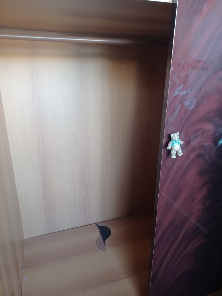 wardrobe - photo 3