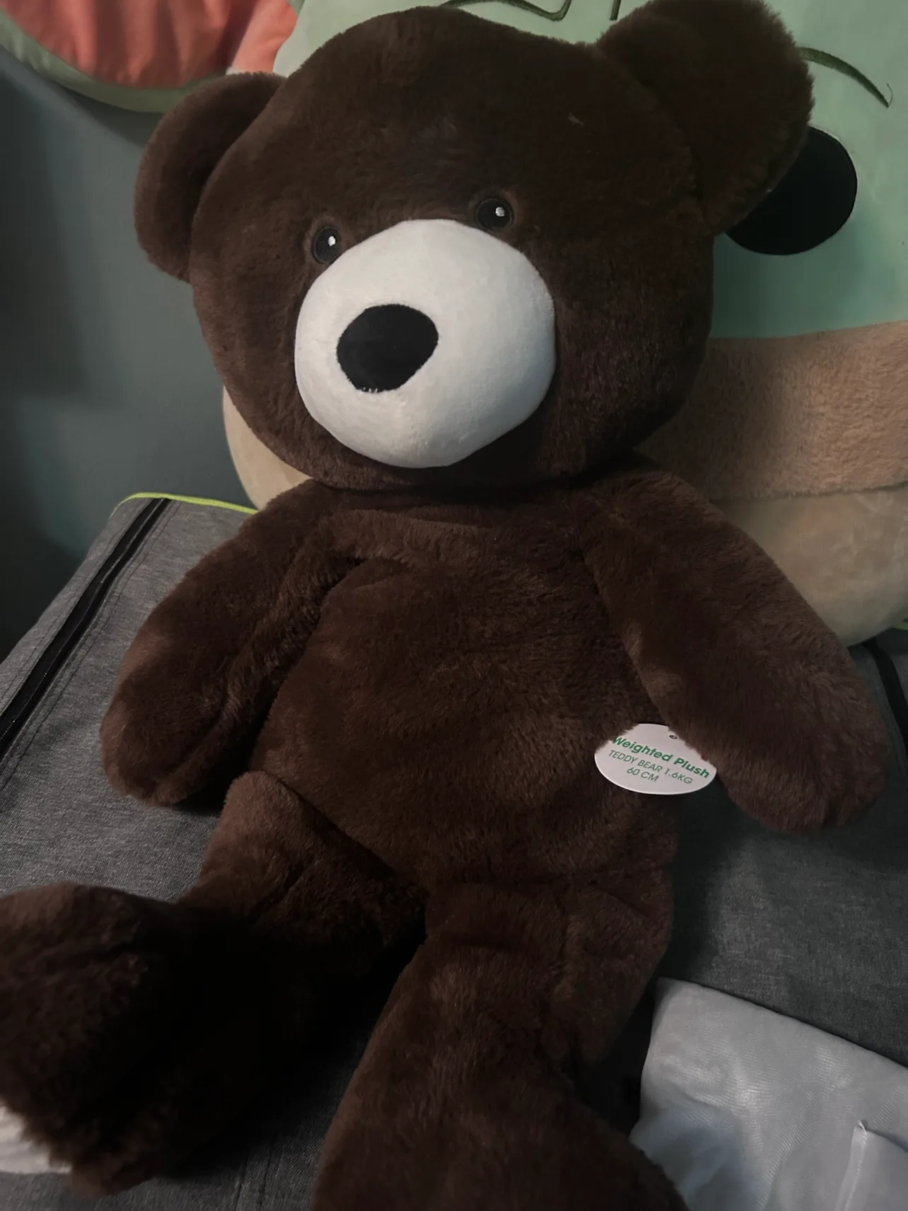 Weighted teddy bear 🧡 image indicator(2)