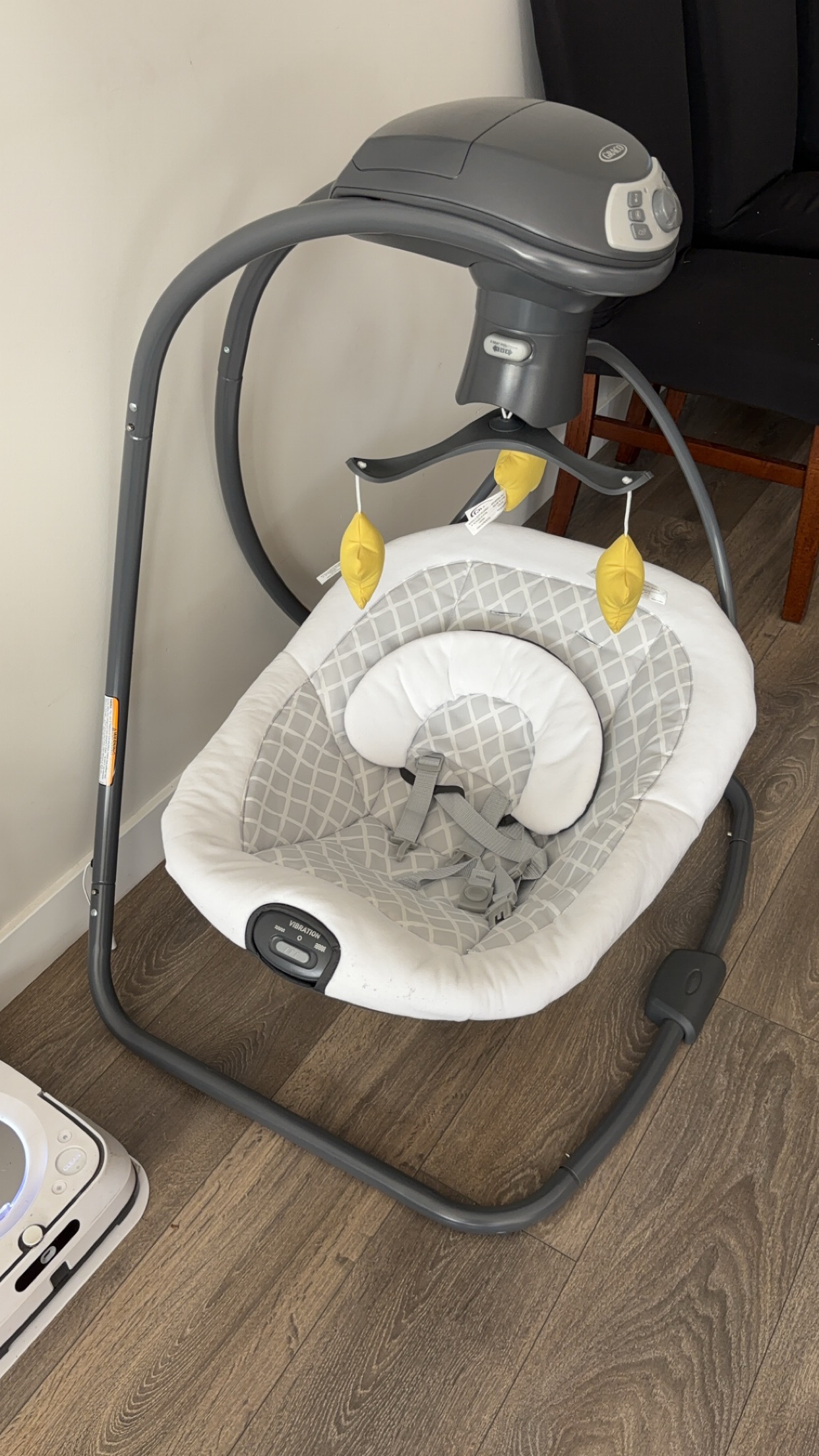 Graco Swing