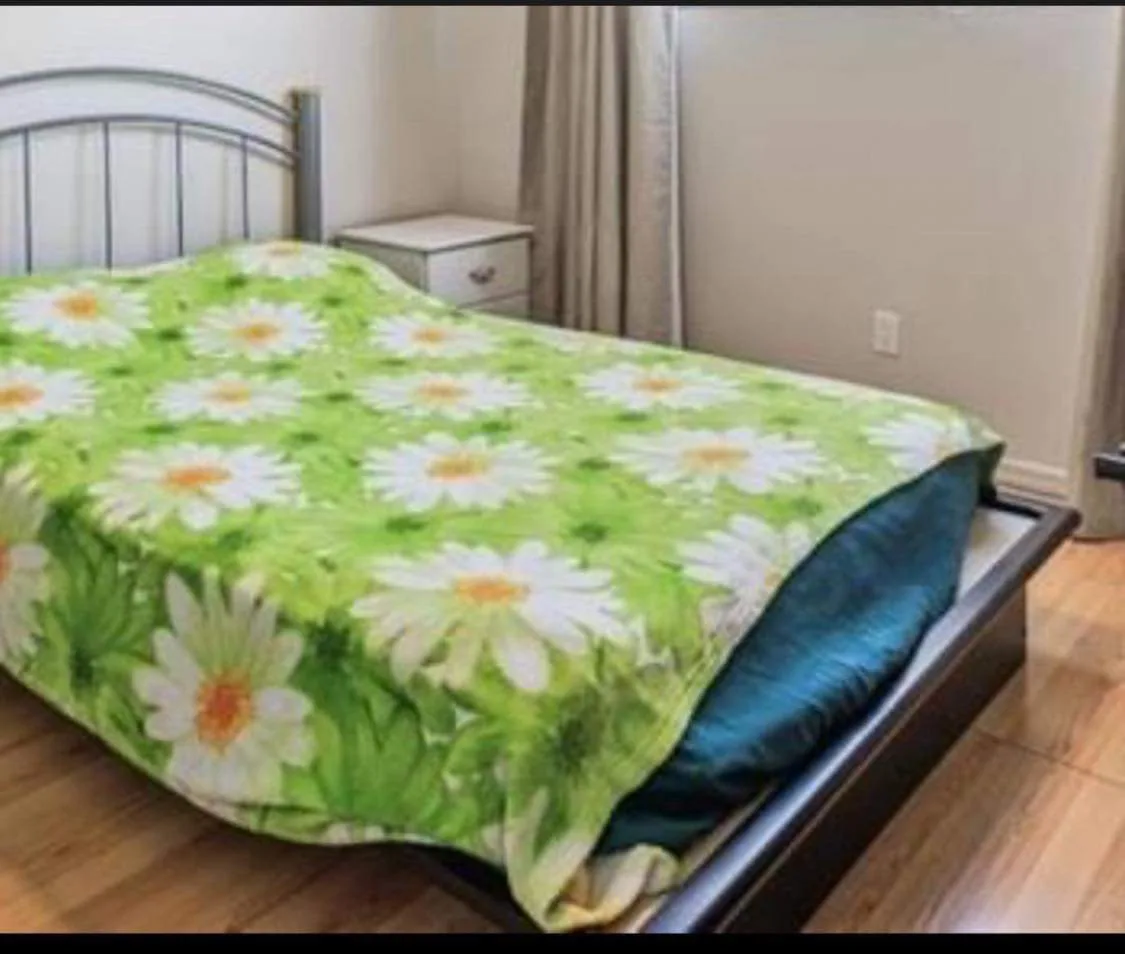 Queen size contemporary bed - new- FREE MATTRESS COVER image indicator(4)