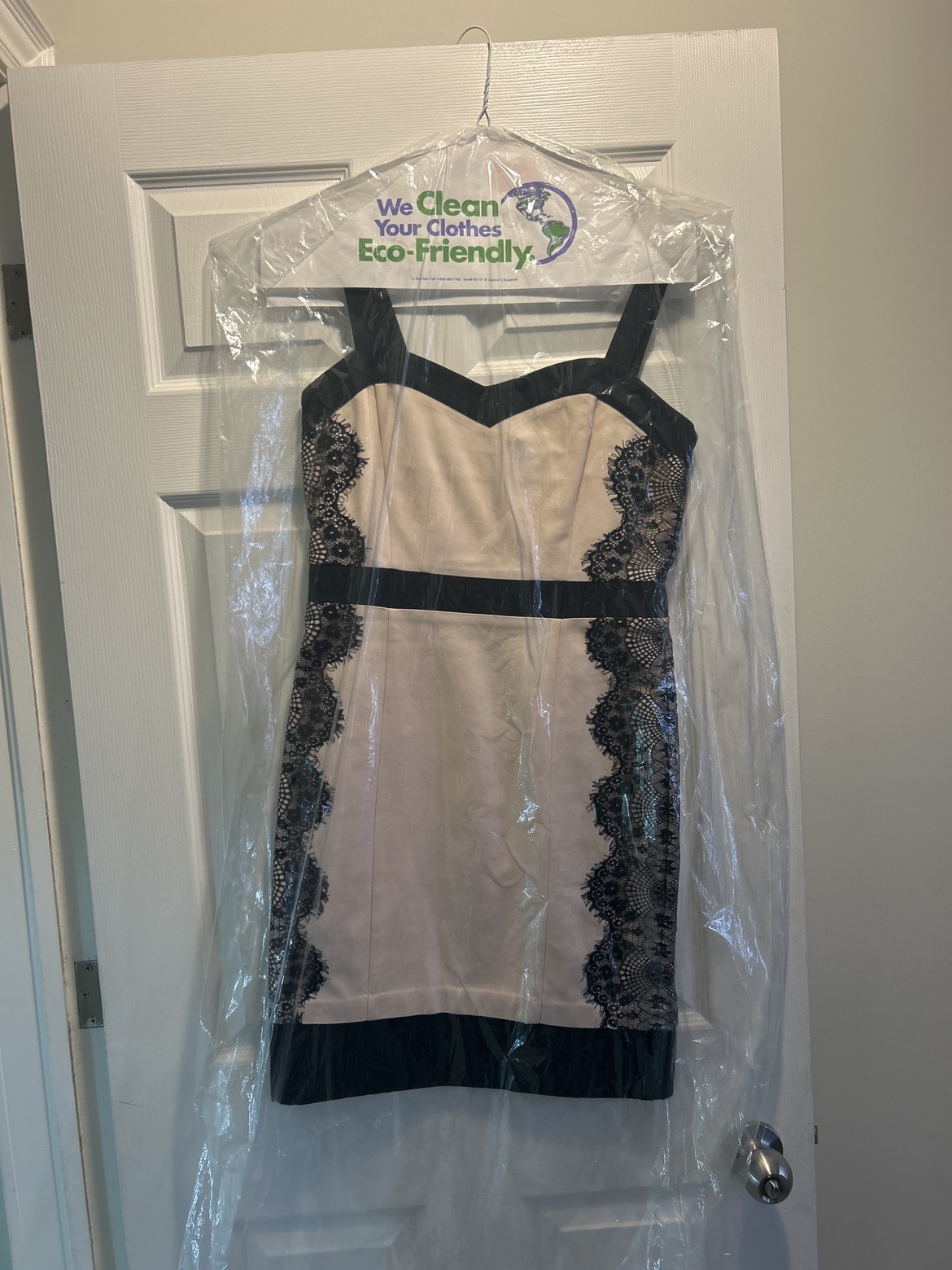 Black and Beige Lace Dress