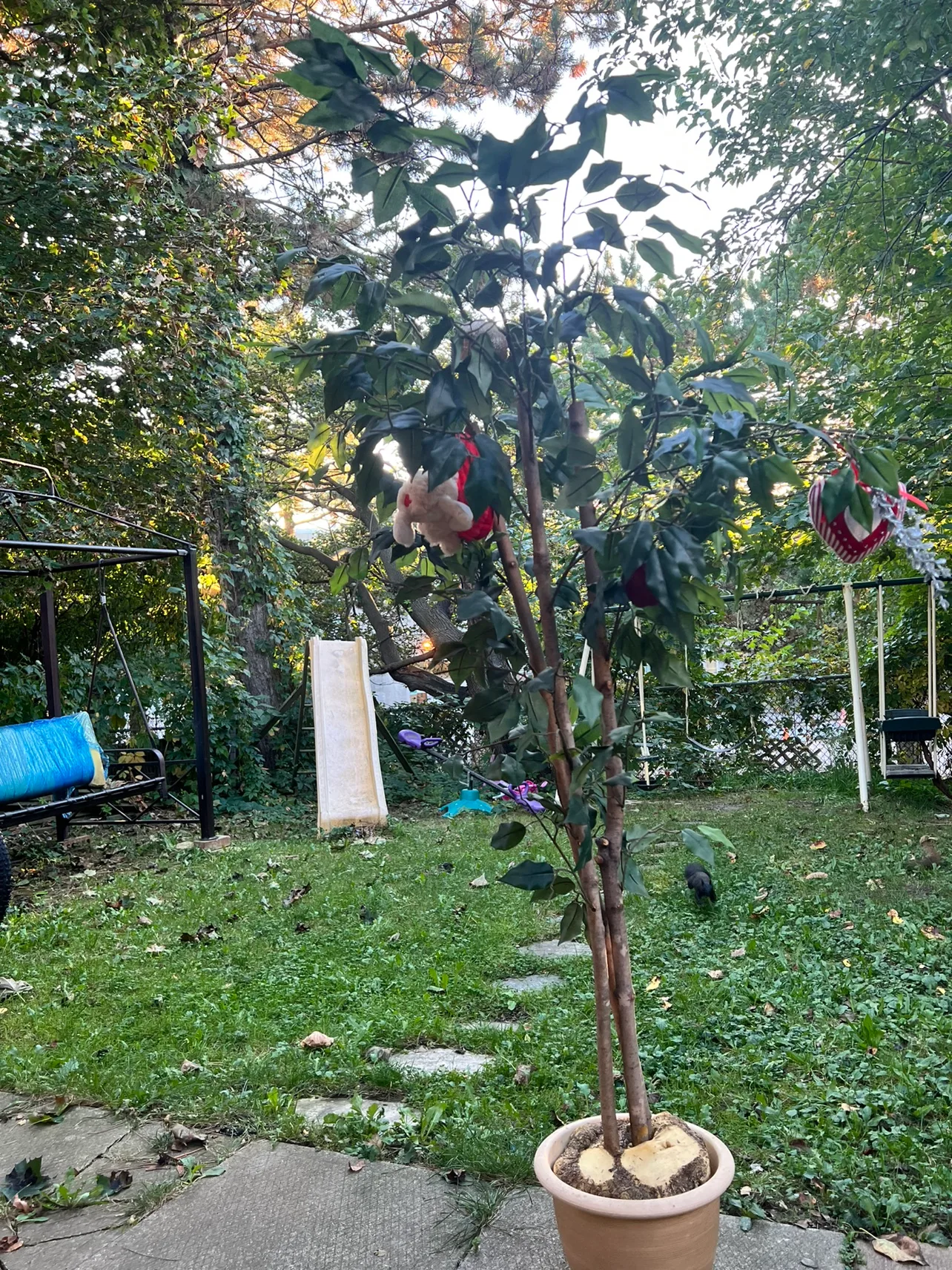 Artificial Tree image indicator(2)