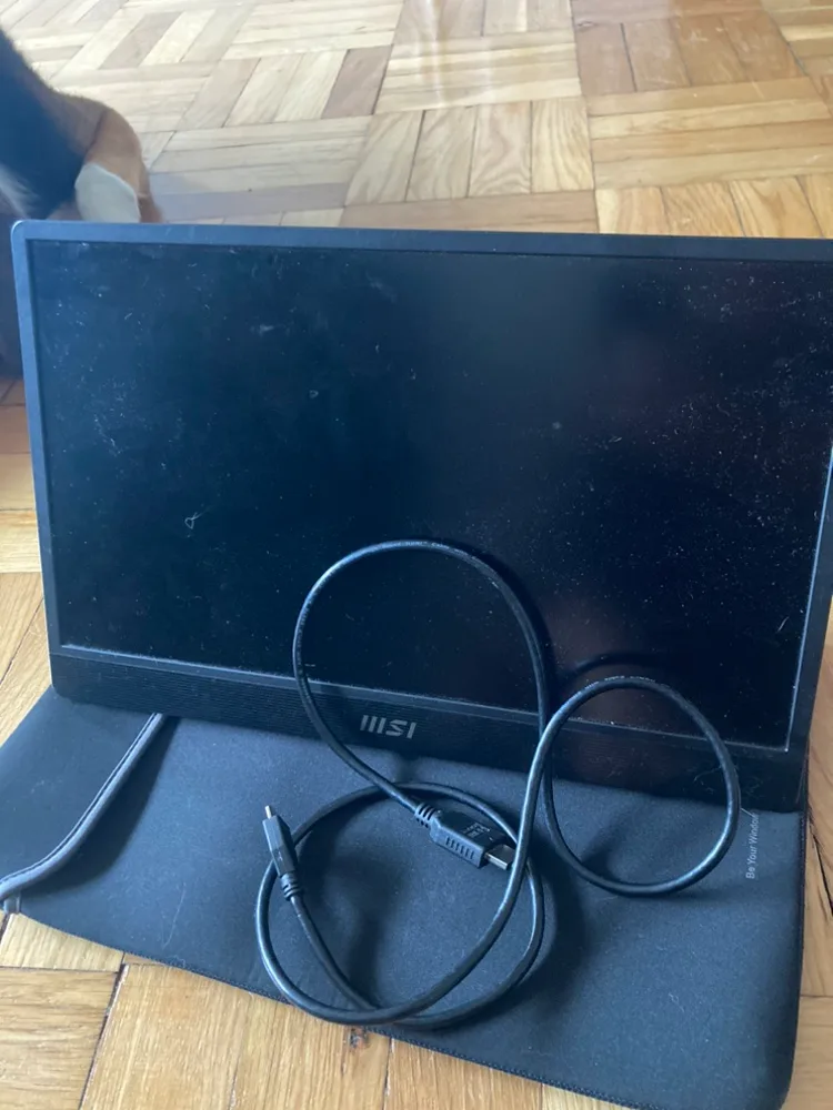 MSI portable monitor thumbnail