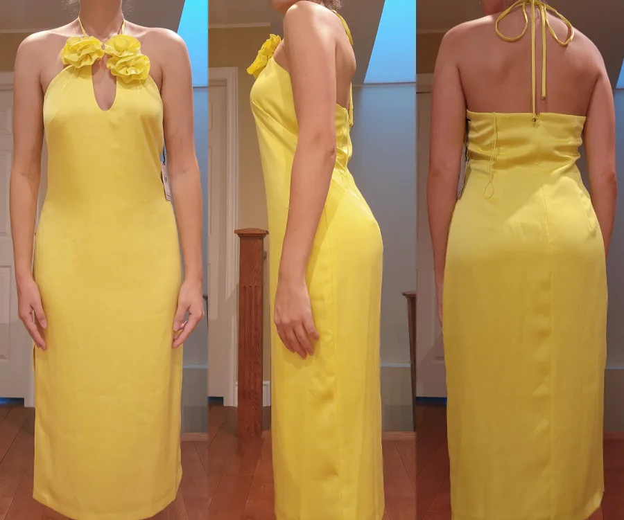 crepe back satin halter dress image indicator(2)