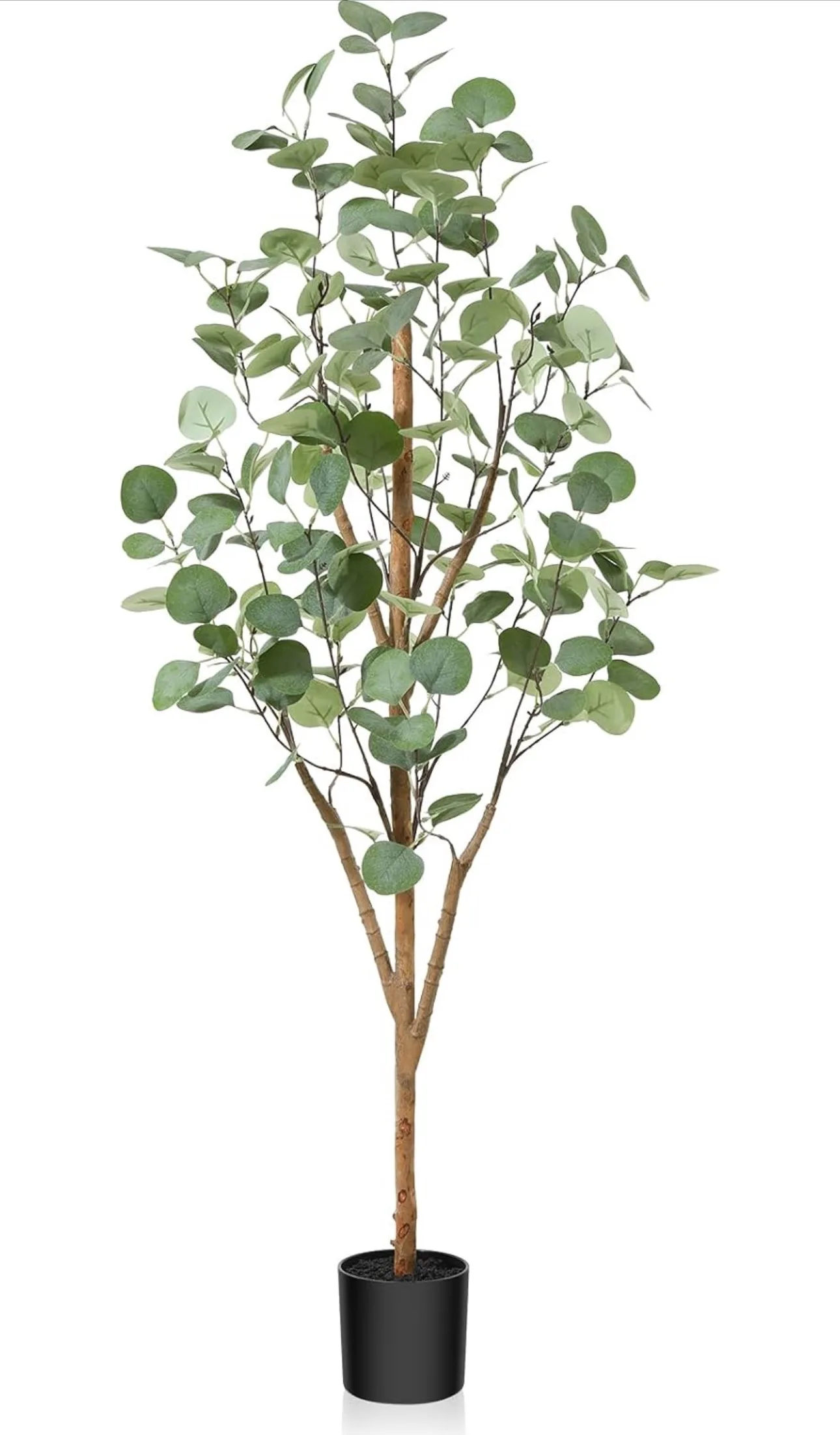 Artificial Eucalyptus Tree