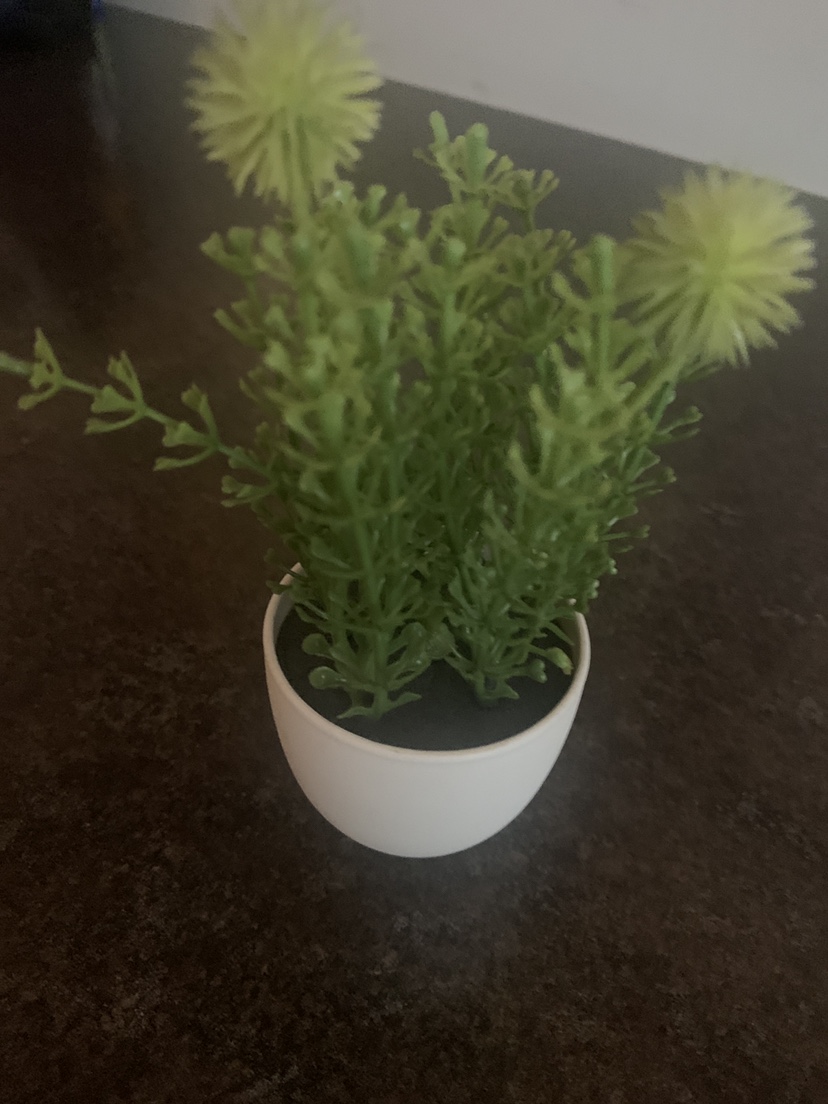 Small Artificial Plant