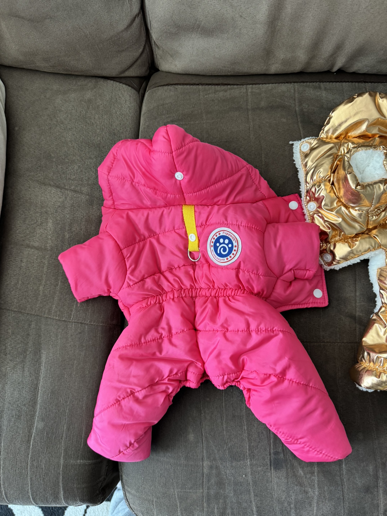 Dog Winter Clothes- suited for small female dog - photo 2