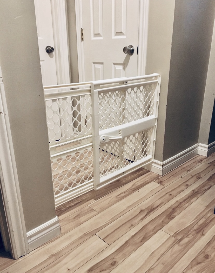 Baby or Pet Gate