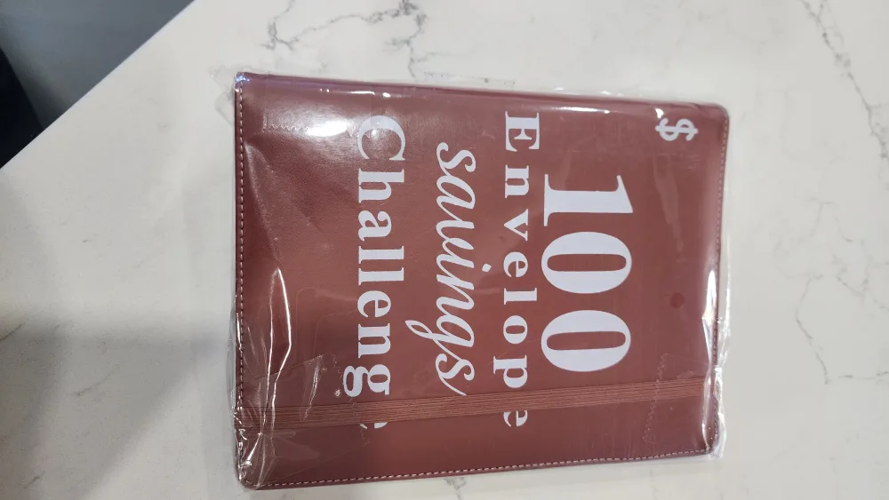 100 Envelope Savings Challenge thumbnail