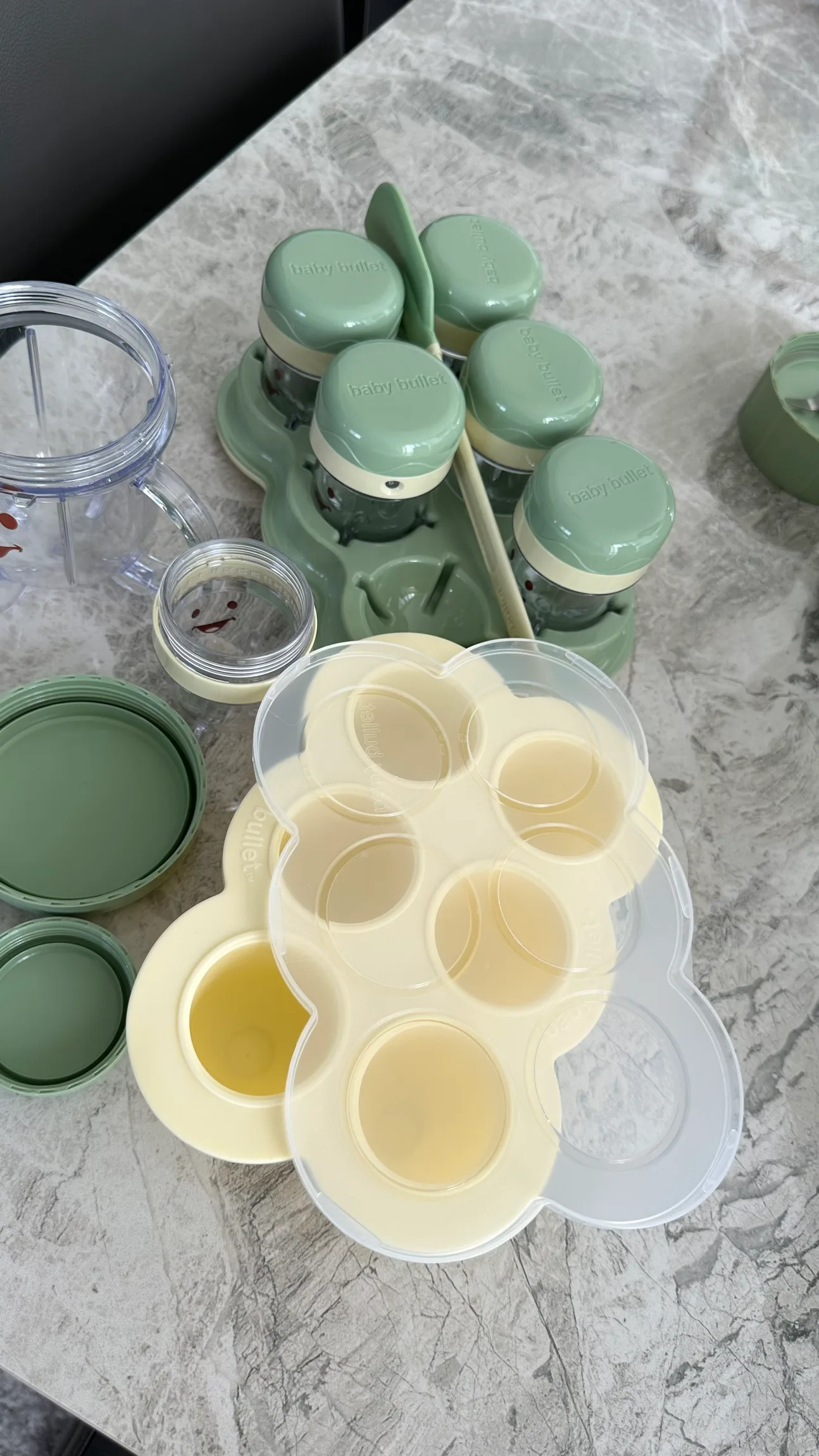 Baby Bullet Food Processor image indicator(8)