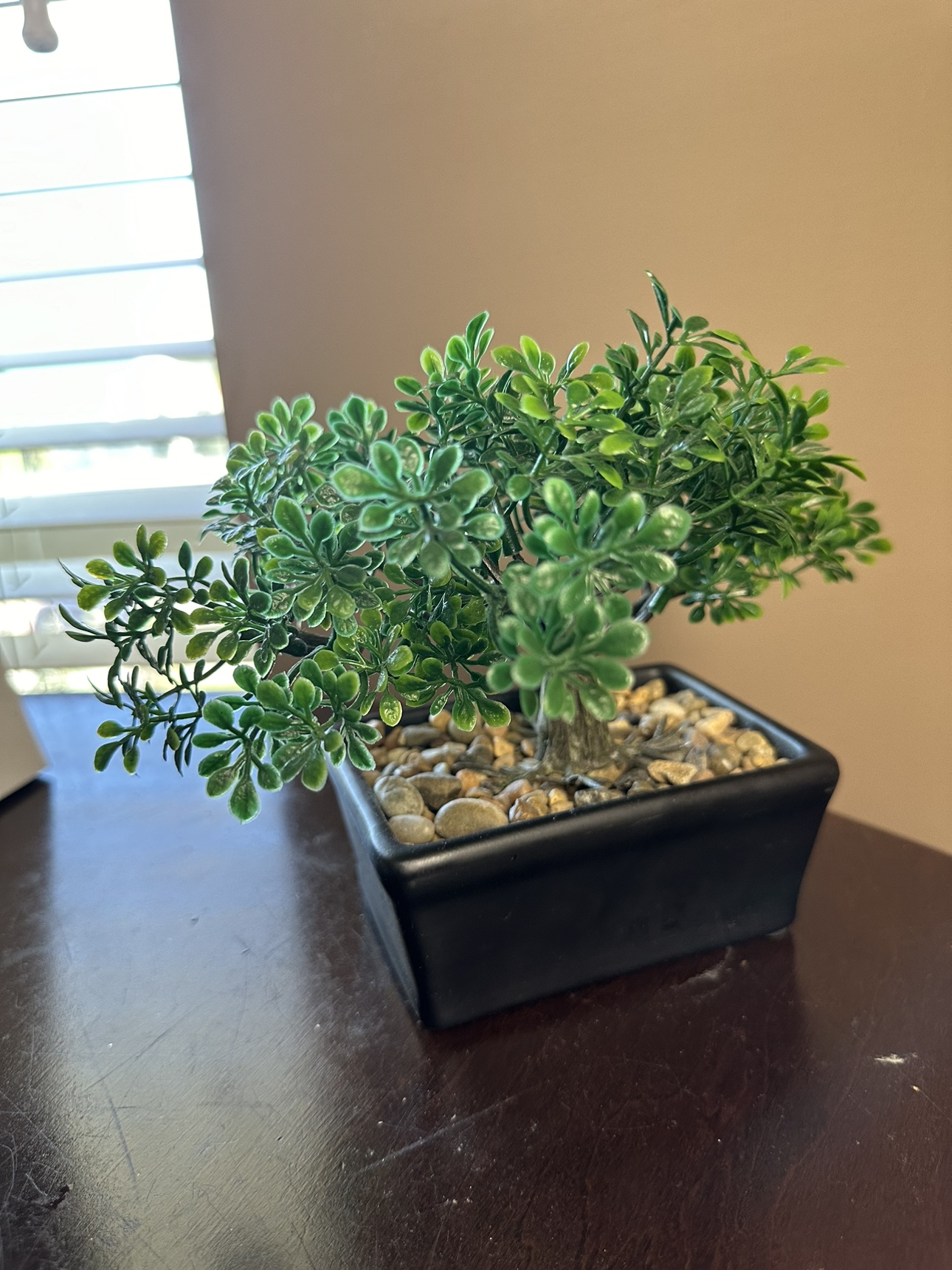Moving sale: Artificial Bonsai Tree - photo 4