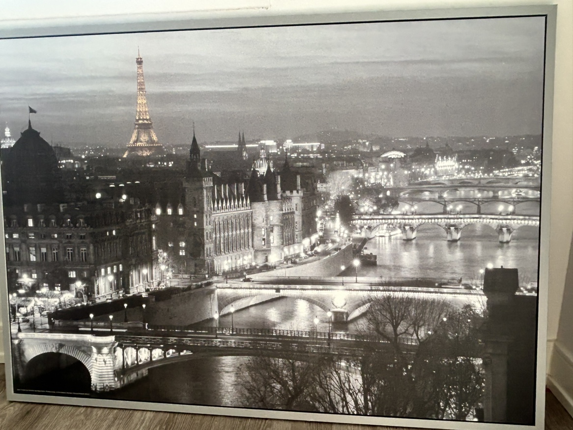 Paris Cityscape Canvas - High quality