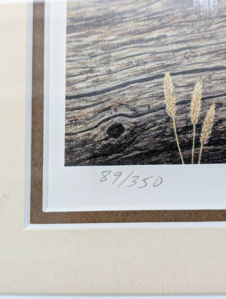 Glenn Olson Signed Numbered Certificate of Authenticity - photo 3