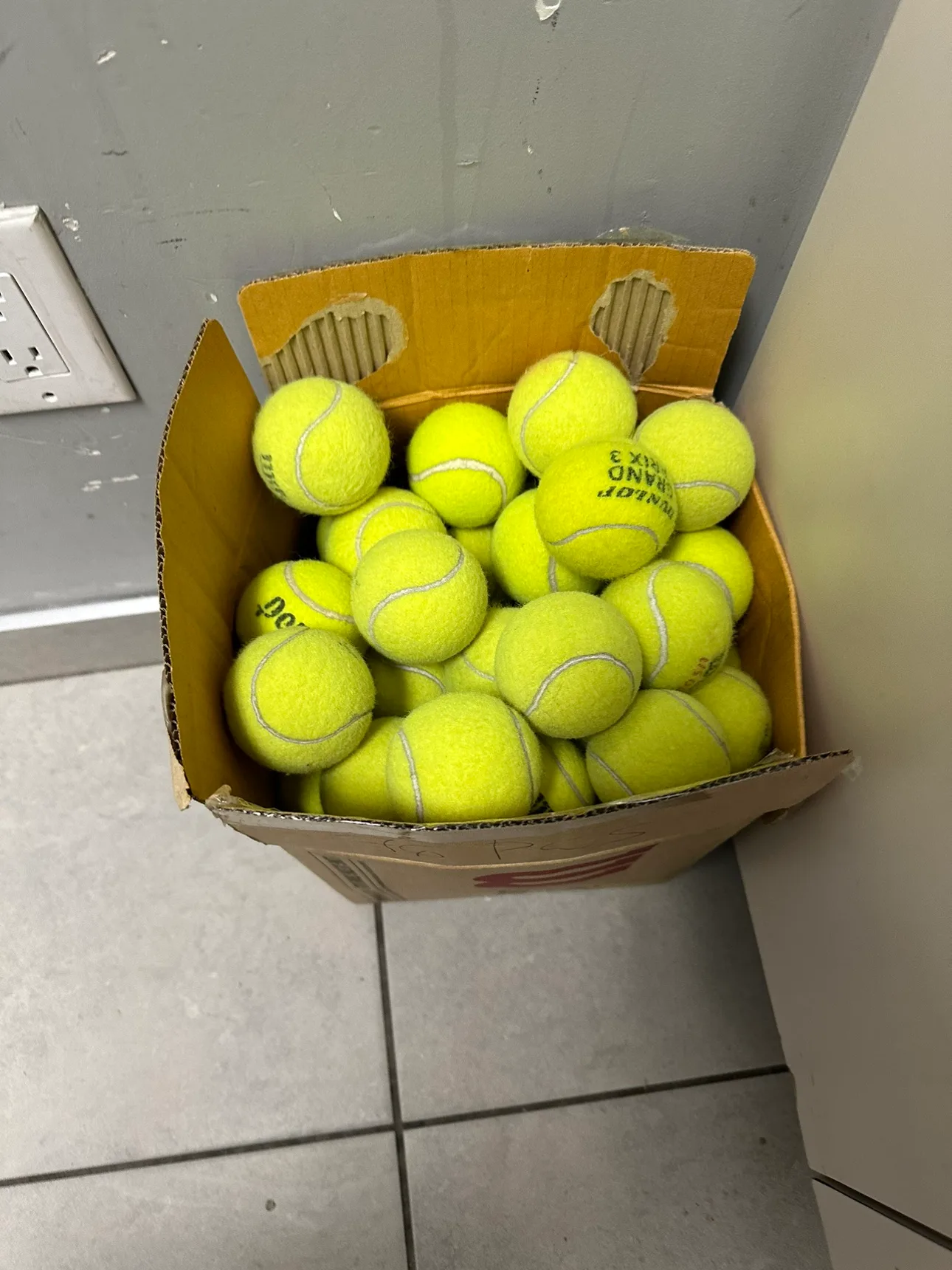 Wilson Tennis Balls - 24 Pack image indicator(5)