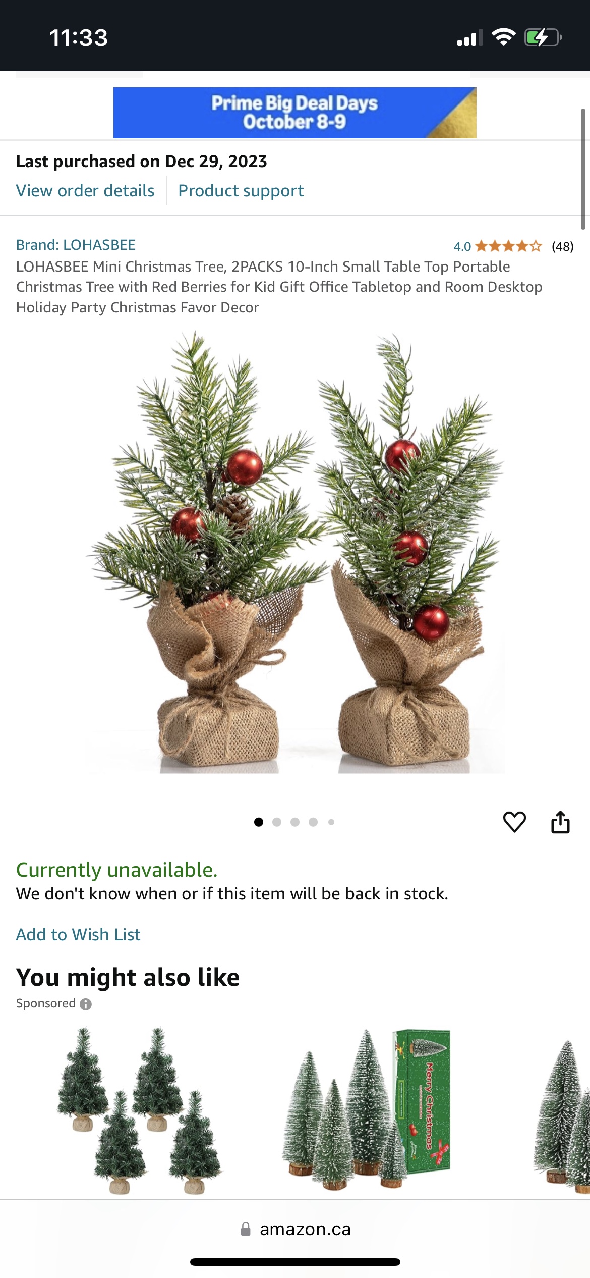 Brand new Mini Christmas Trees