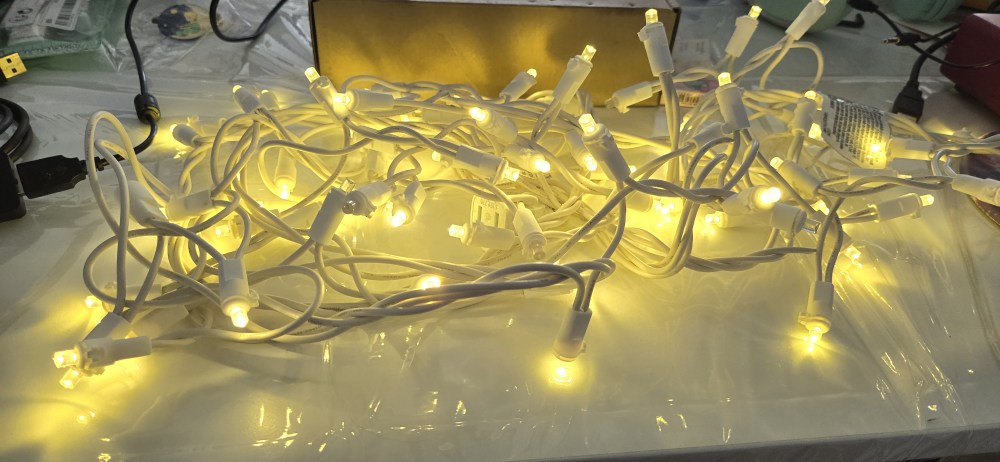 String of Warm White LED Lights - photo 2