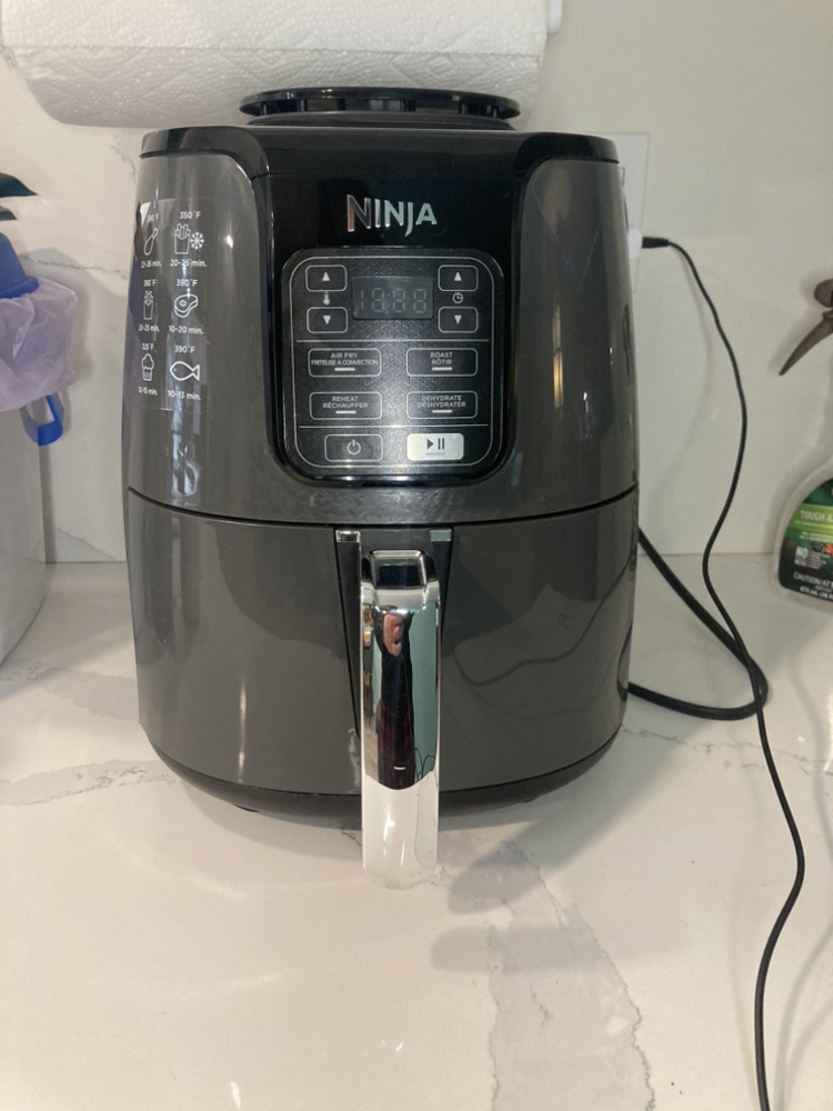 Ninja Air Fryer AF101