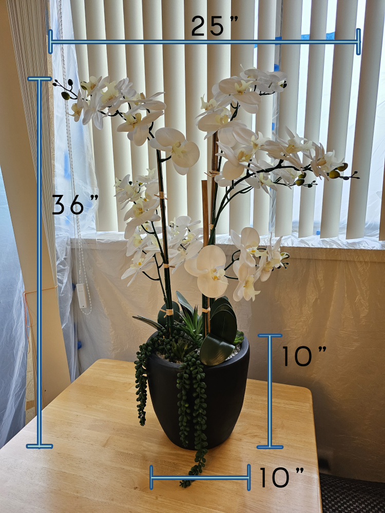 Faux Orchid Arrangement 36" with Succulents in Black Pot - photo 5