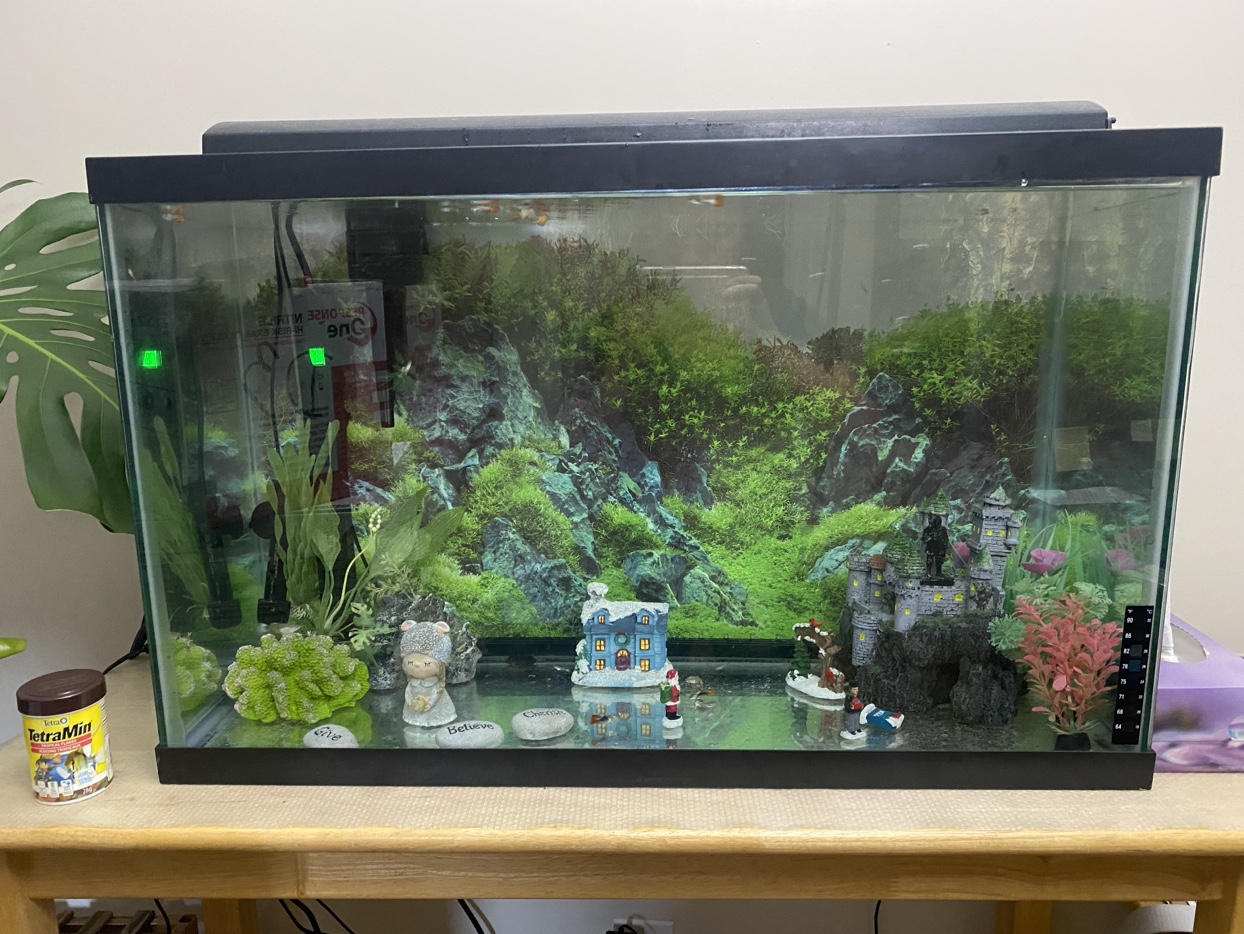 Fish tank Aquarium set - photo 3