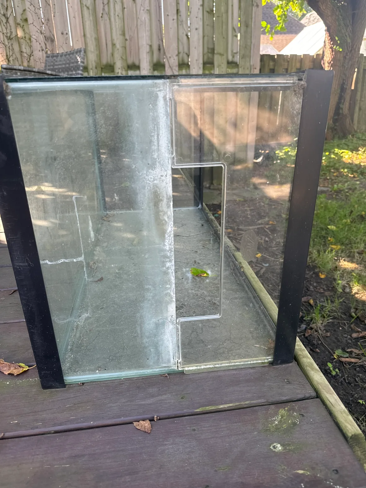 Large Fish Tank image indicator(2)