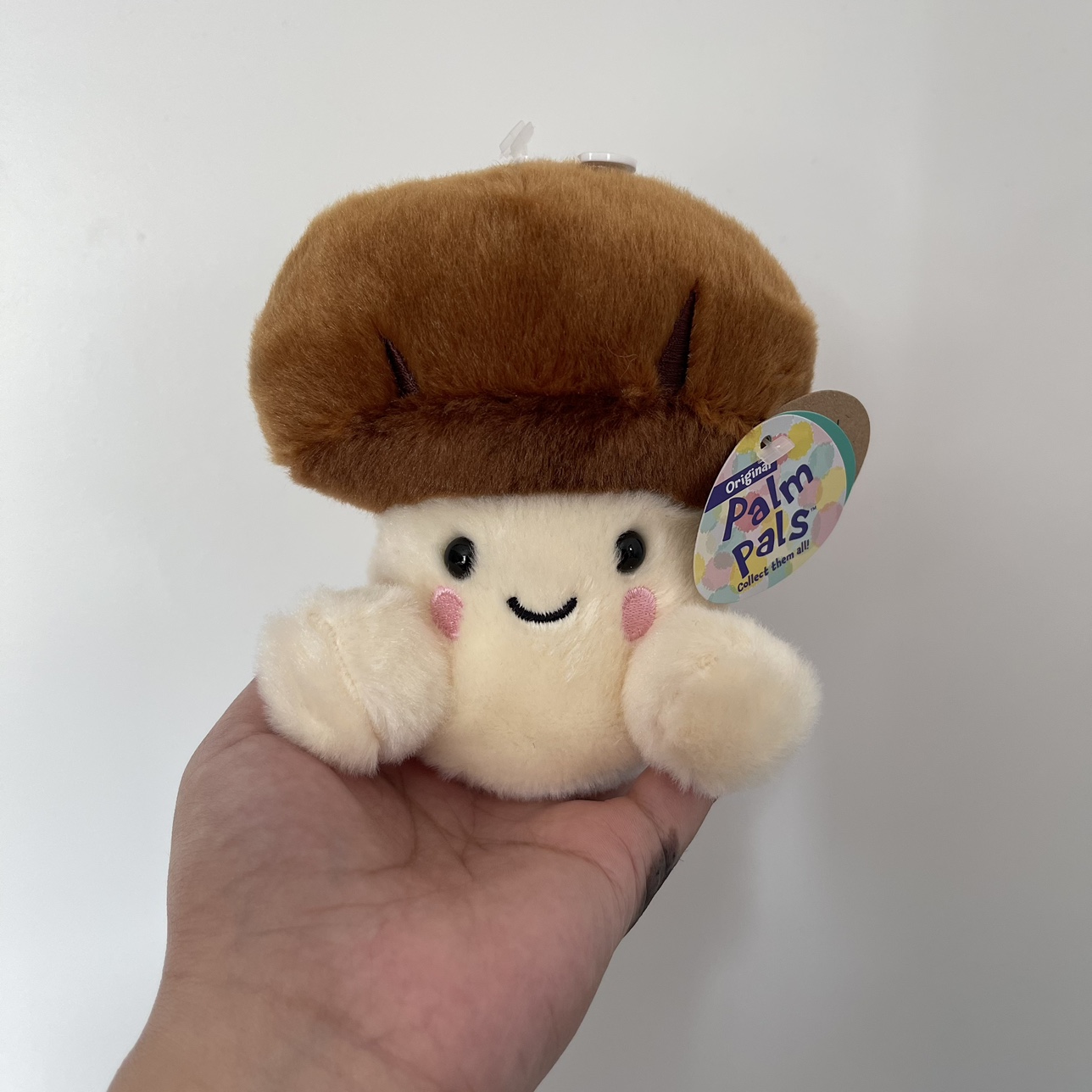 Brown Mushroom Palm Pals