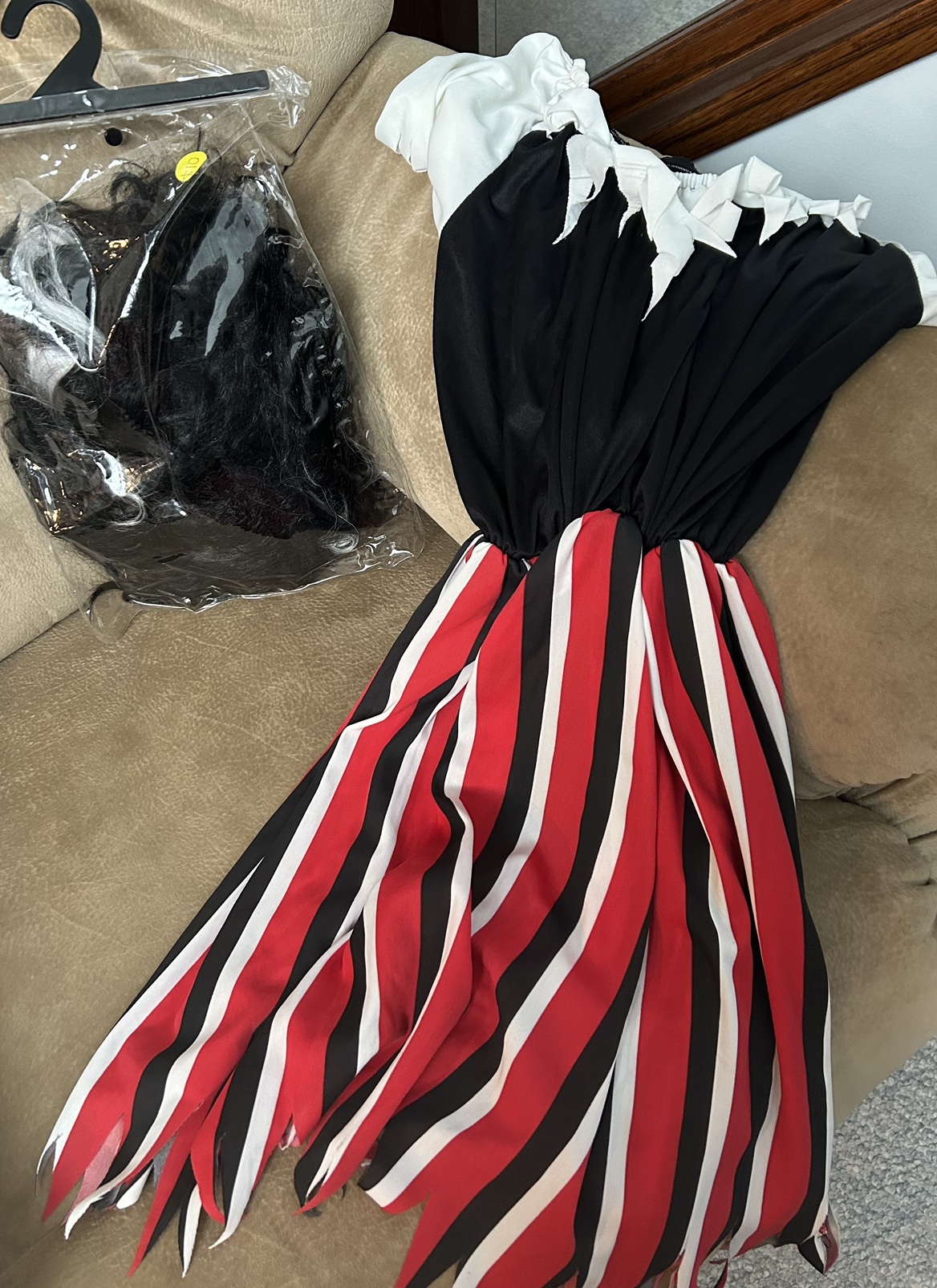 Pirate Halloween Costume