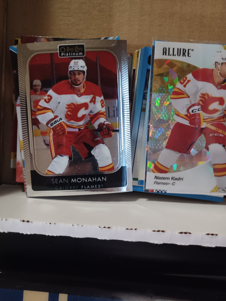 Calgary Flames Upper Deck Hockey Cards - photo 4
