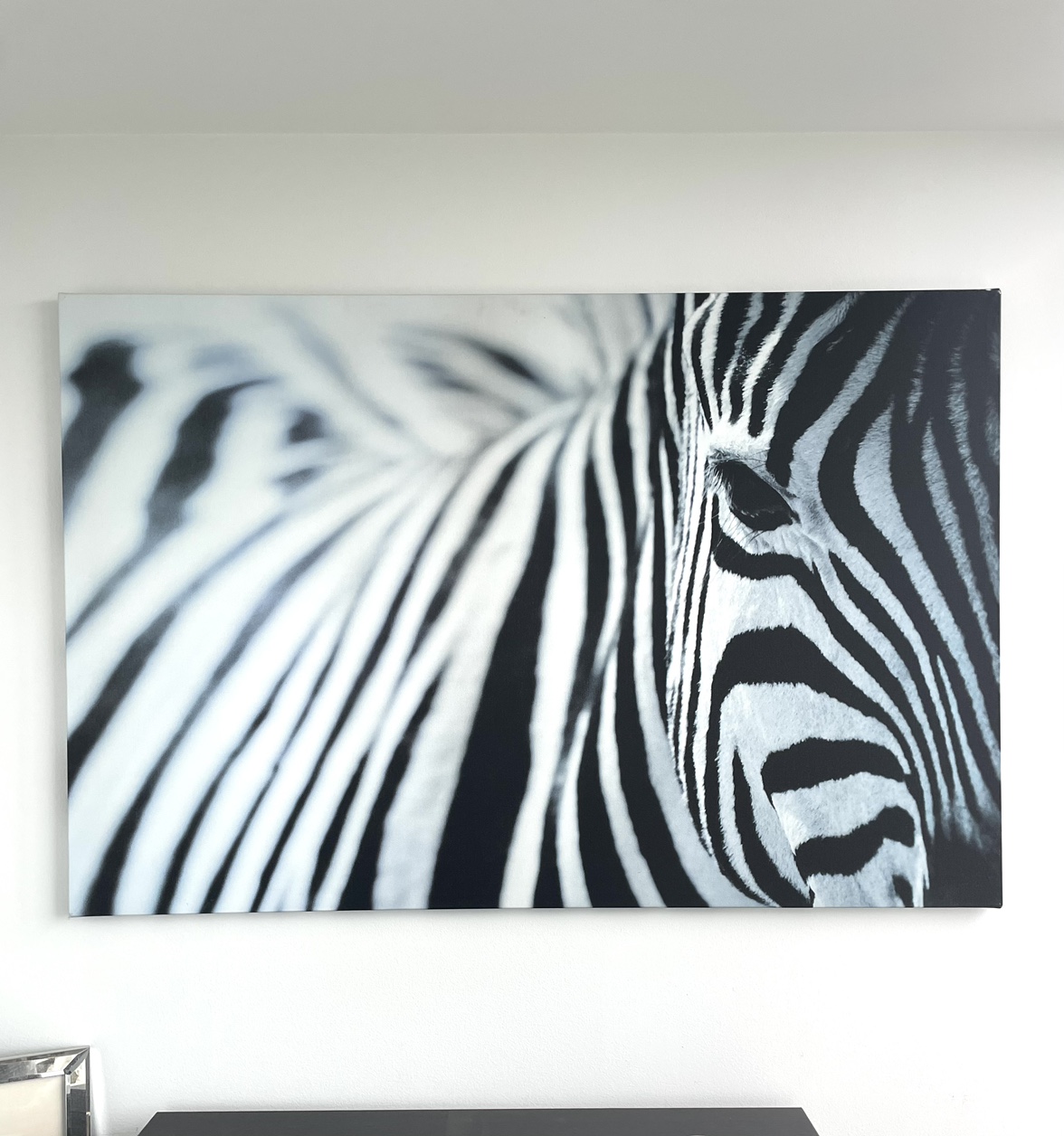 Wall Art - Zebra Portrait