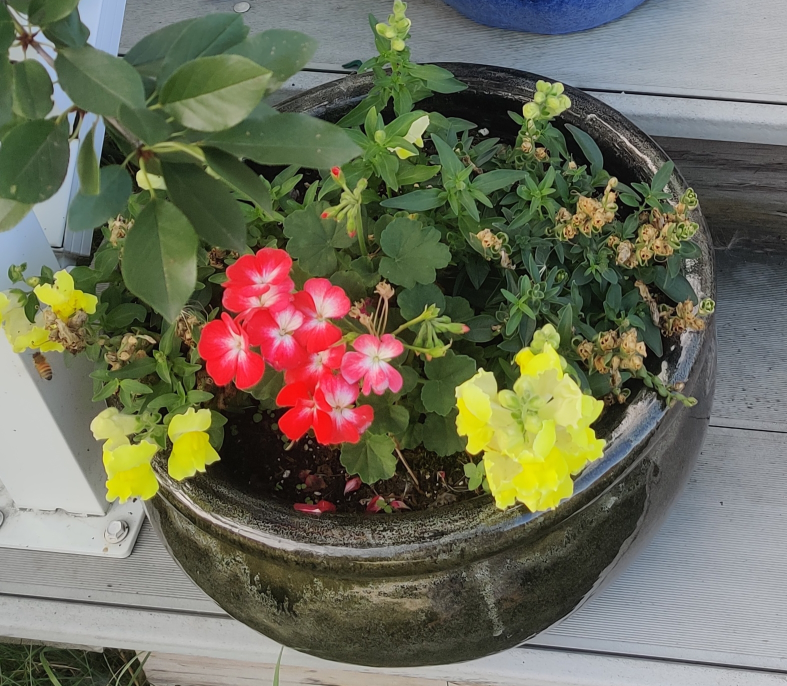 Large Planter Pot with Flowers set of 2