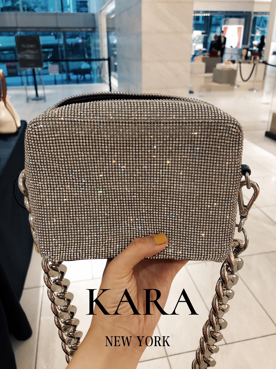 Kara Crystal Mesh Chain Camera Bag