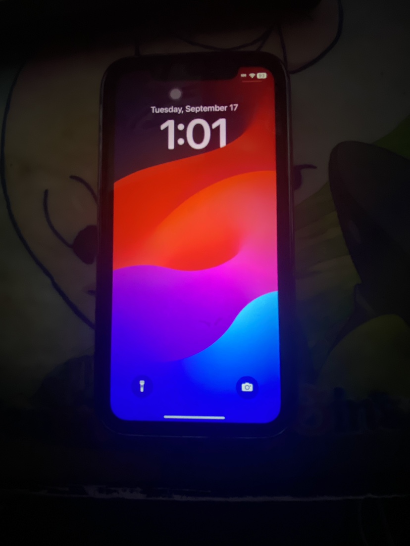 iPhone XR
