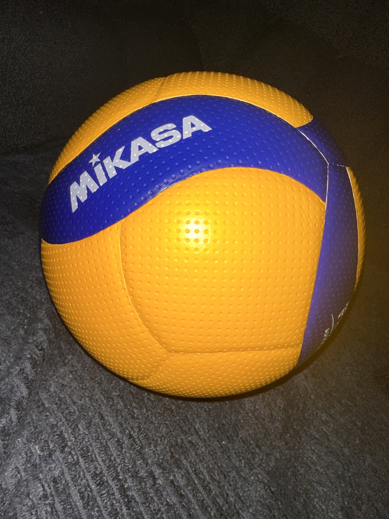 Mikasa V300W Volleyball