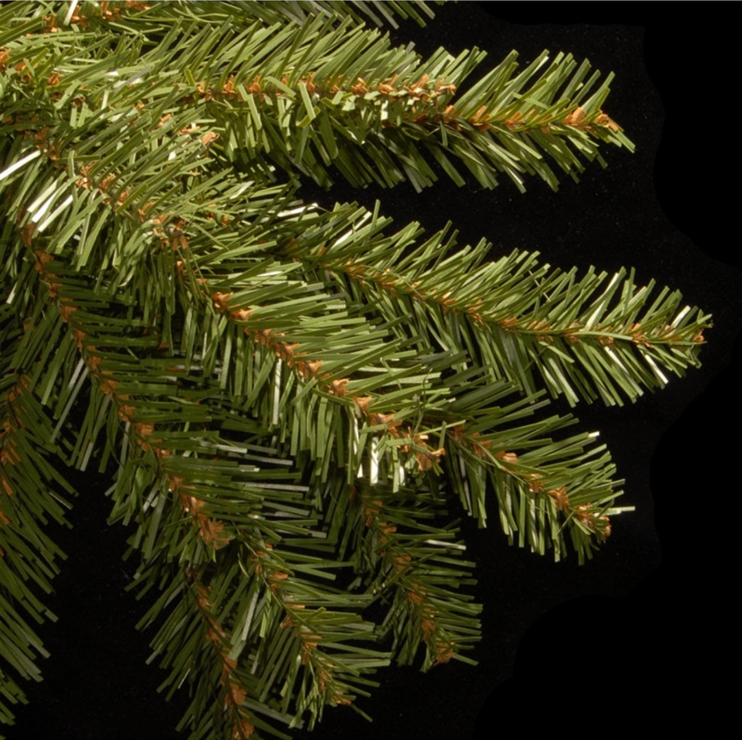 National Tree 6 Dunhill Fir Tree - photo 3