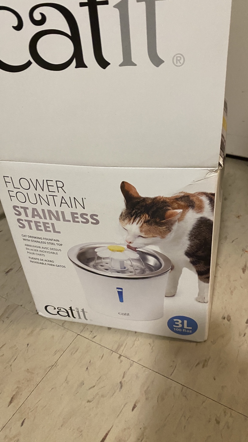 Cat water fountain