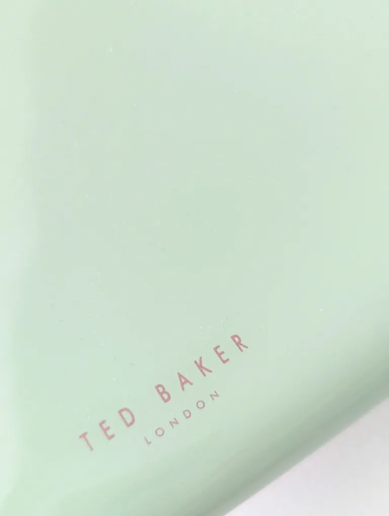 LIKE NEW Ted Baker seafoam green envelope clutch image indicator(3)