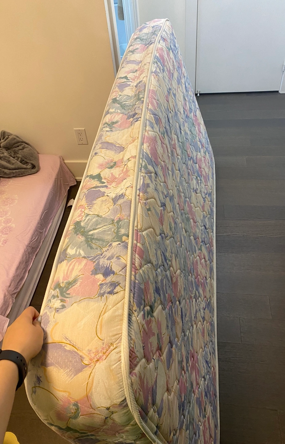 Twin Mattress + Box Spring Mattress Karrot