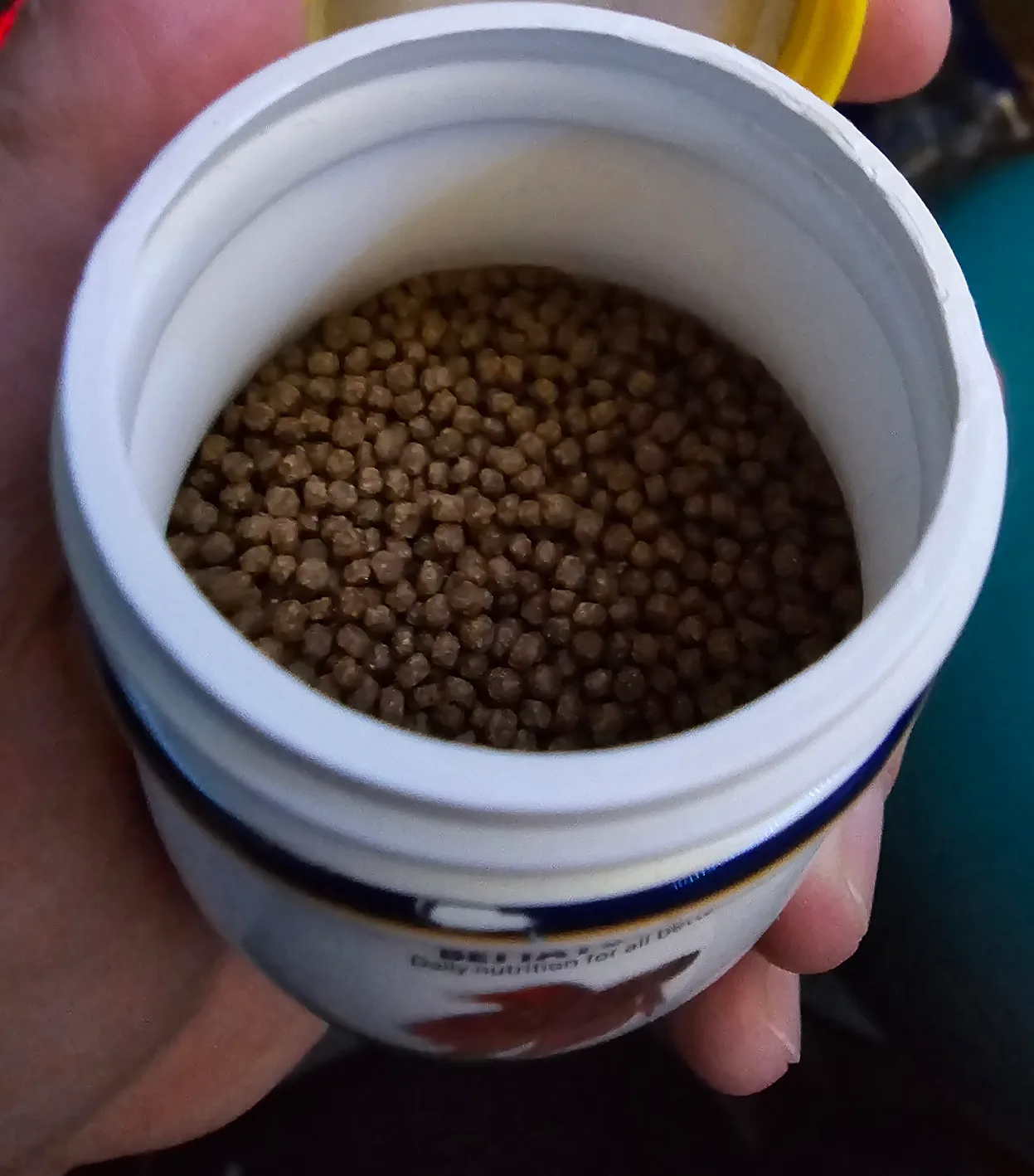 Betta Fish Food #Freecycle image indicator(3)