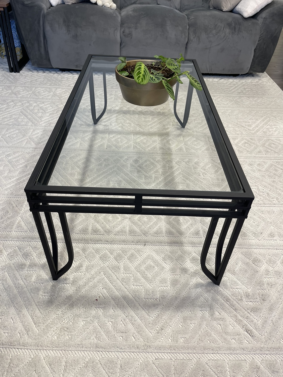 Glass and Metal Coffee Table 46” by 24” - photo 3