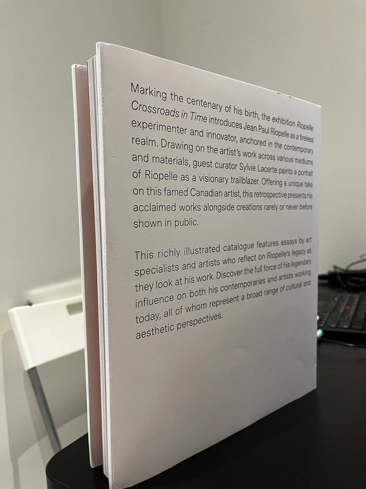 Riopelle: Crossroads In Time image indicator(2)