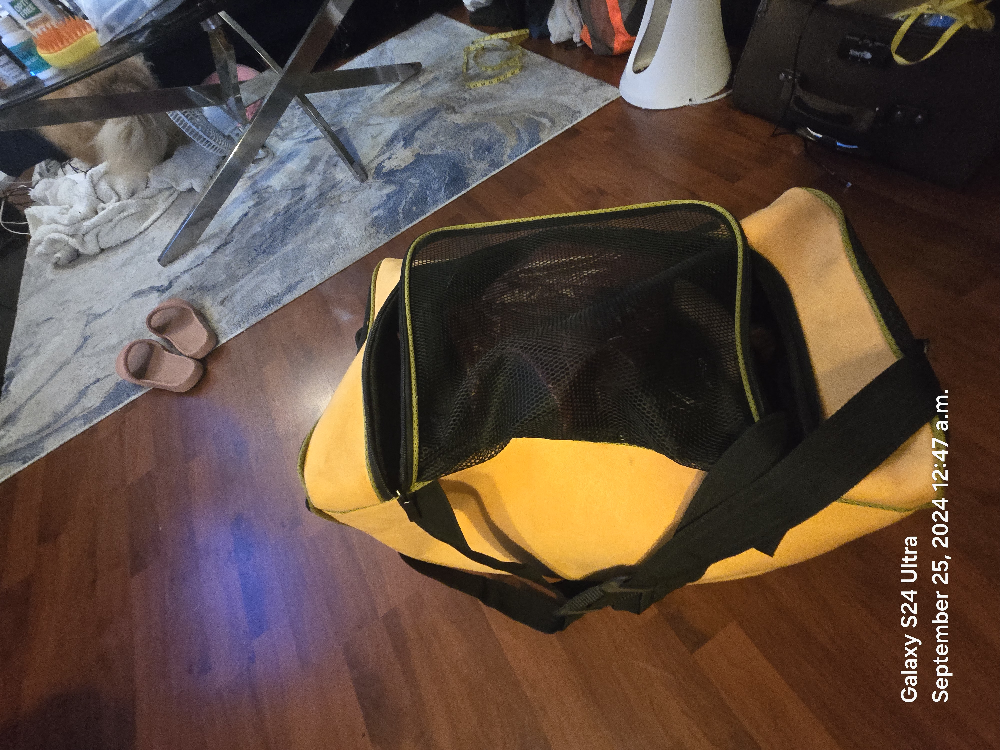Pet Travel Carrier - photo 2