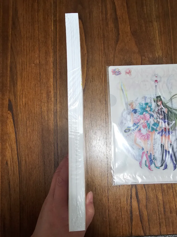 Sailor Moon Raisonne Art Works Book + Clear File image indicator(5)