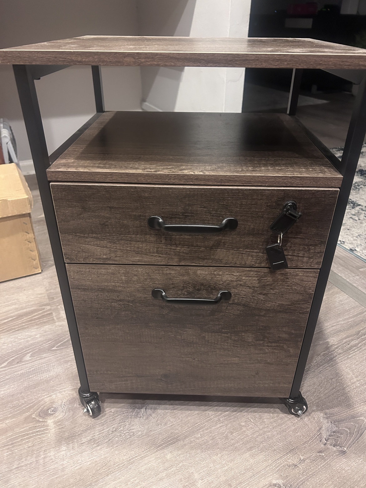 Rolling File Cabinet