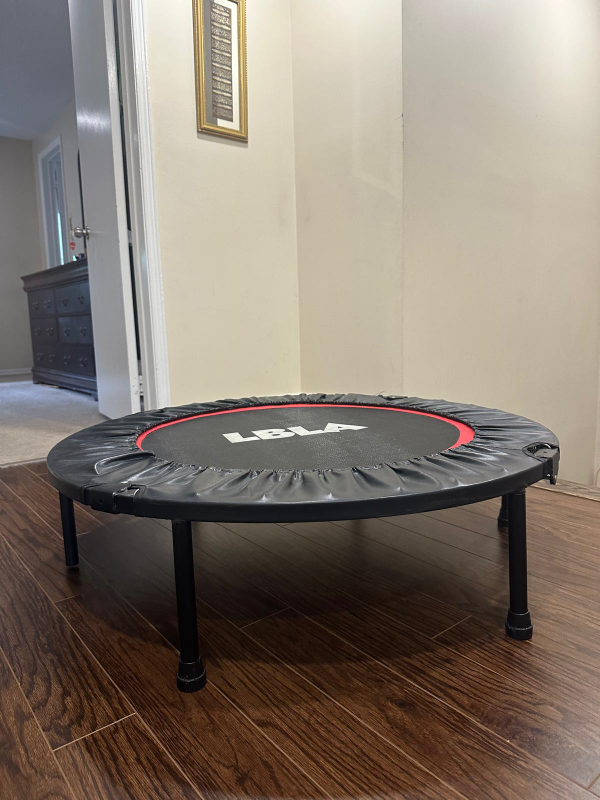 LBLA Mini Trampoline - photo 2