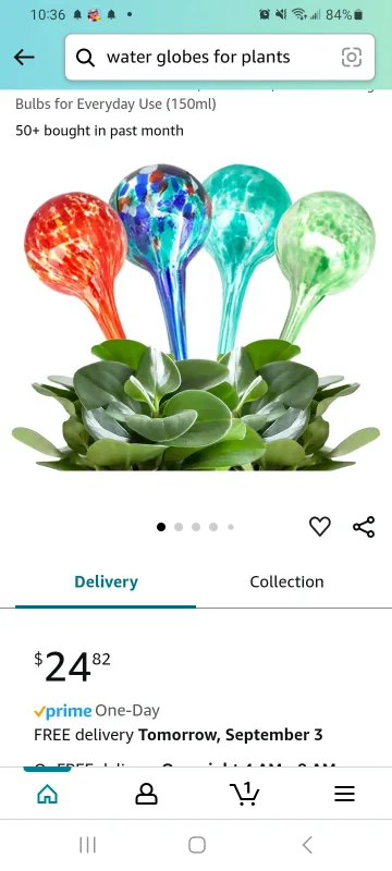 Set of 4 Glass Watering Bulbs holds 300ml per image indicator(7)