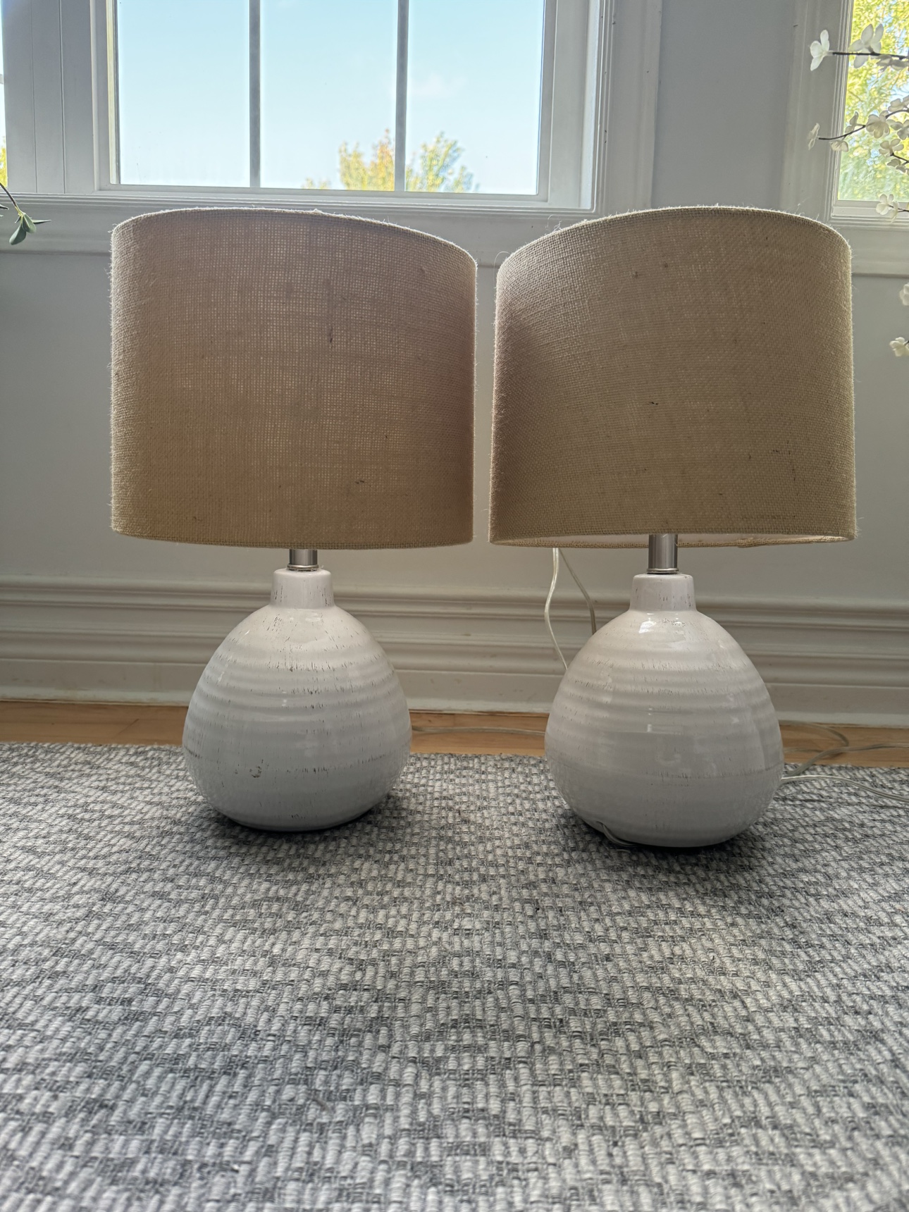 Pair of Lamps 🧡
