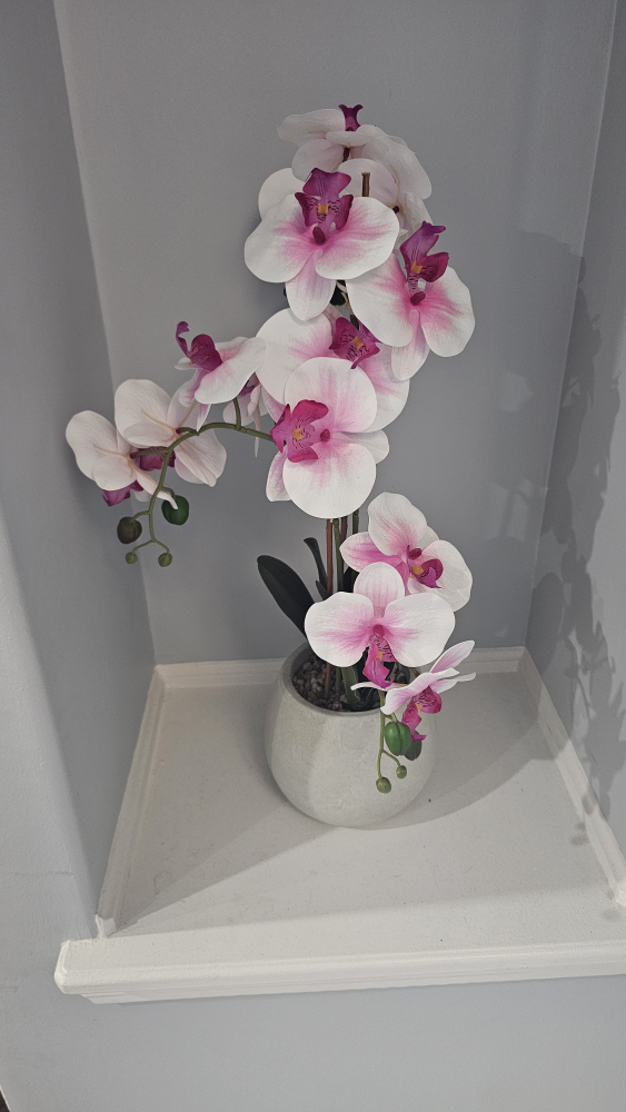 Artificial Orchid Plant Pair