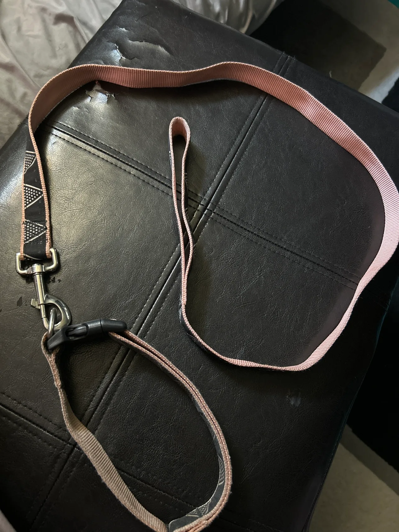 Dog Leash 🧡 image indicator(3)